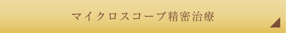マイクロスコープ精密治療