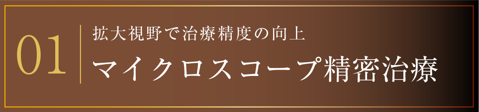 01 マイクロスコープ精密治療