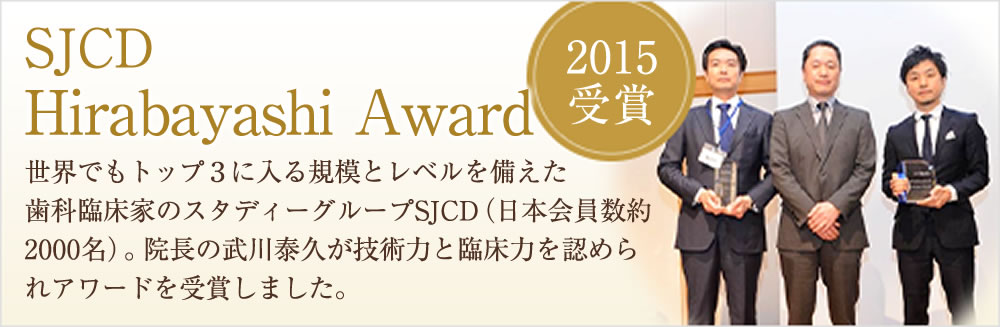 Hirabayashi Award 2015